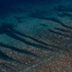 Así avanza el blanqueamiento progresivo del coral. Foto: ARC Centre of Excellence for Coral Reef Studies